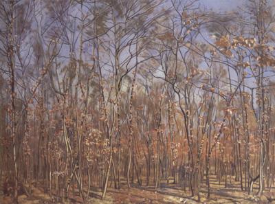 Ferdinand Hodler The Beech Forest (nn02)